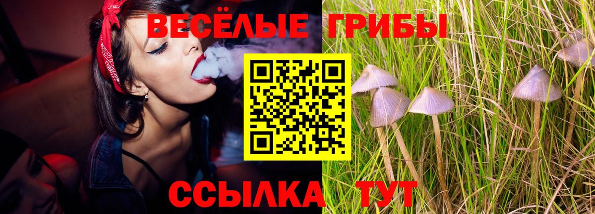 Артём  Псилоцибиновые грибы прущие грибы  Вход с VPN 