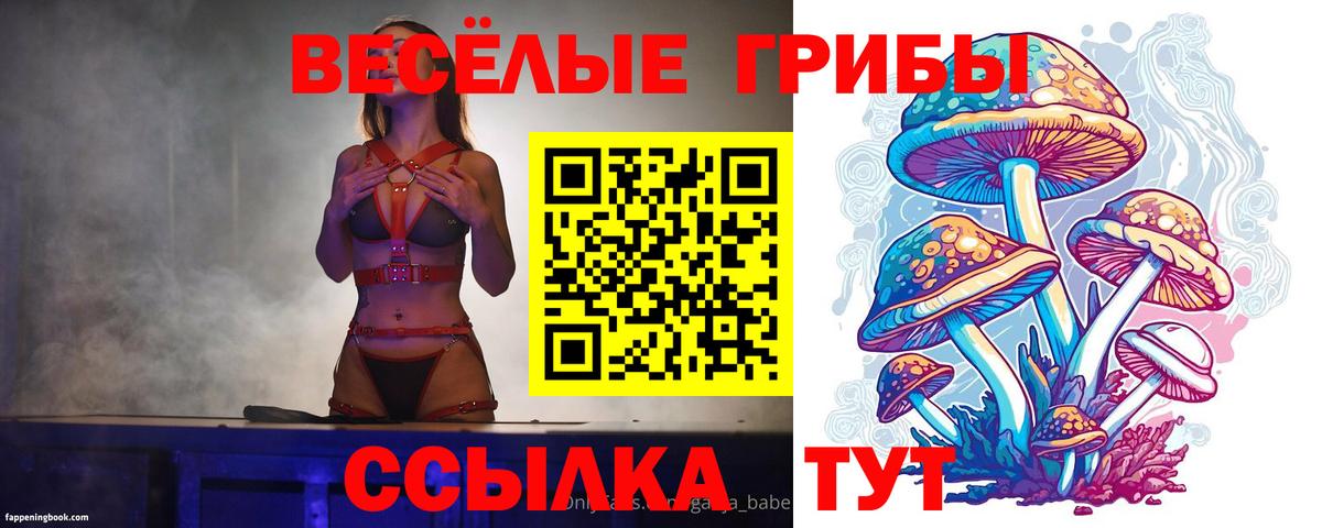 Псилоцибиновые грибы GOLDEN TEACHER Артём
